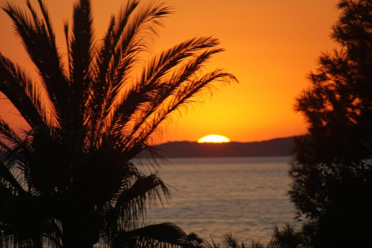 Hotel Abrat Σαν Αντόνιο Εξωτερικό φωτογραφία